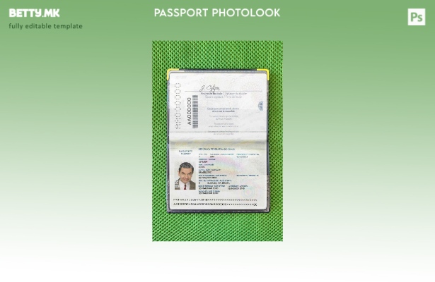 Шаблон за фото изглед на бразилски пасош ( ) во модерен стил